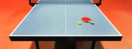 Best Indoor Outdoor Ping Pong Table