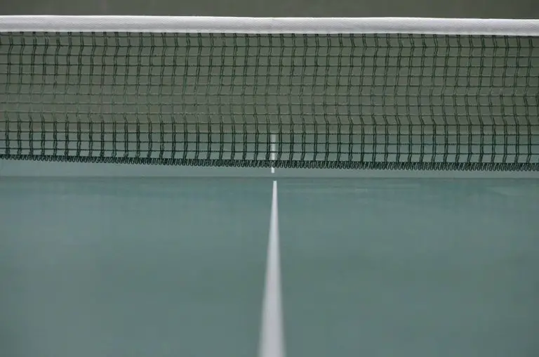 The 7 Best Ping Pong Nets In 2020 - Lasesana by Expert Reviews